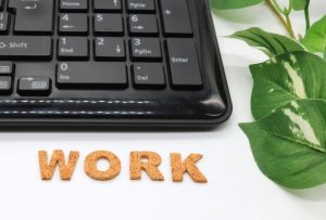 ニュース：特定技能１号外国人数の速報値（令和６年４月末現在）